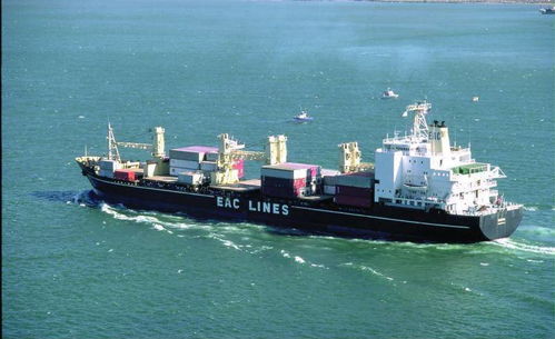 專業(yè)高效，上海易馳貨運(yùn)助您輕松實(shí)現(xiàn)國(guó)際海運(yùn)